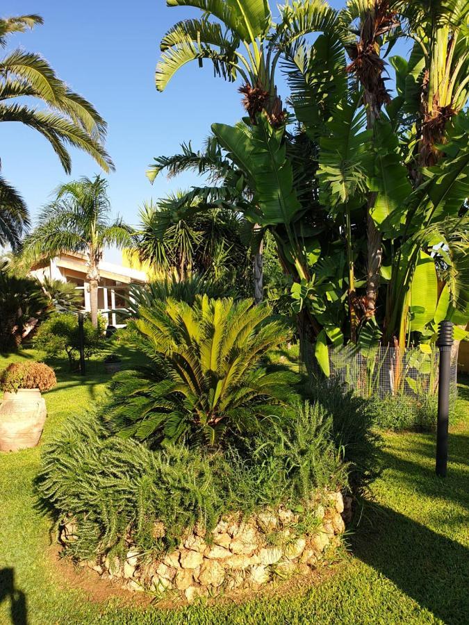 Casa Vacanza Lia 马尔萨拉 外观 照片